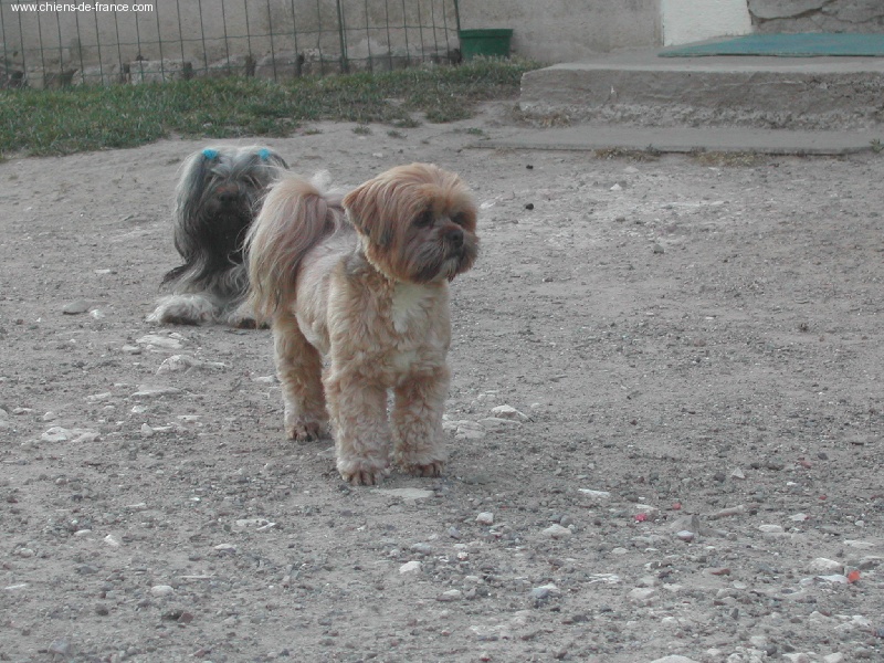 Thang ka des Epinouses