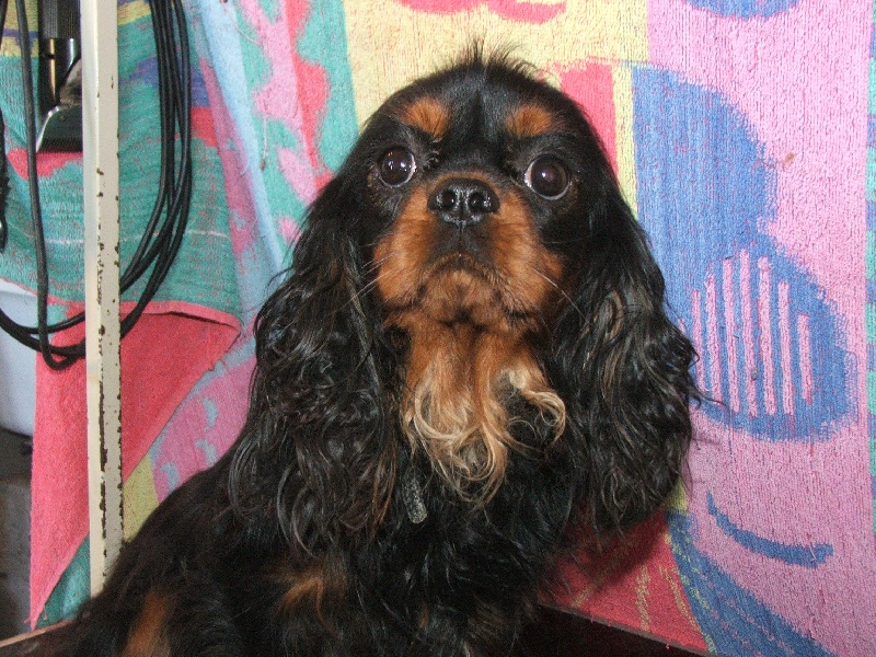 Urio (Sans Affixe)