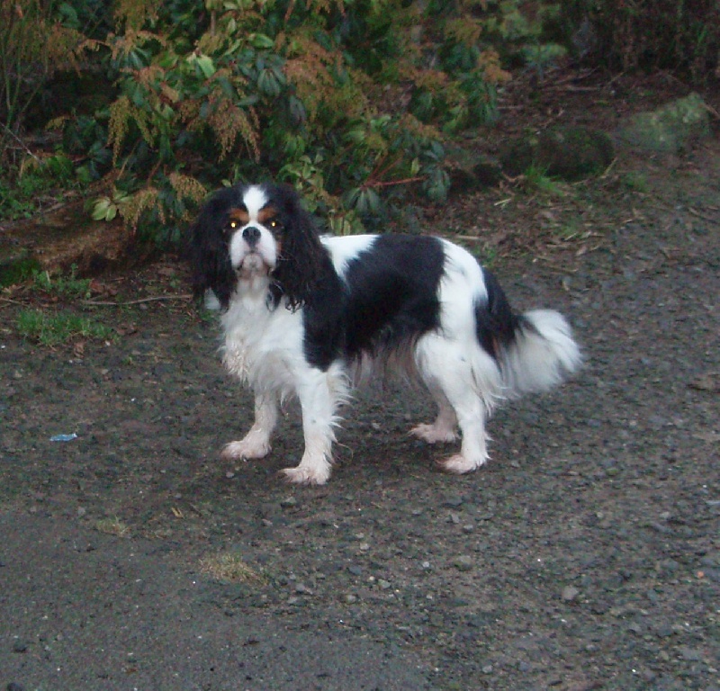 Very nice des Epinouses